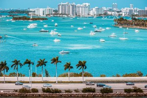 A coastal view featuring numerous boats on turquoise water with palm trees in the foreground.